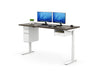 BOOST Workstation (sit to stand)